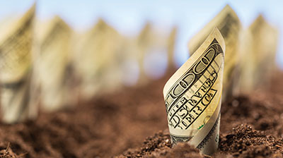CANNABIS INVESTMENTS