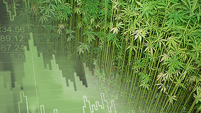 CANNABIS INVESTMENTS