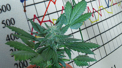 CANNABIS INVESTMENTS